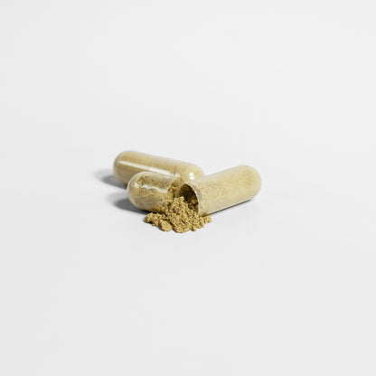 Body2fit Moringa+ Pure